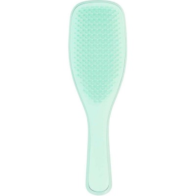 Tangle Teezer Wet Detangler Fine & Fragile Βούρτσα Μαλλιών για Ξεμπέρδεμα Mint