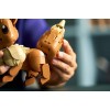 LEGO® Pokemon: Eevee (72151) LEGO® Pokemon: Eevee (72151)
