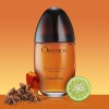 Calvin Klein Obsession Eau de Parfum 100ml Calvin Klein Obsession Eau de Parfum 100ml