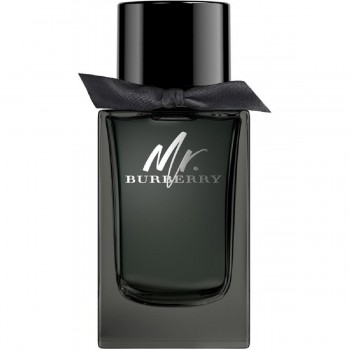Burberry Mr. Burberry Eau de Parfum 100ml